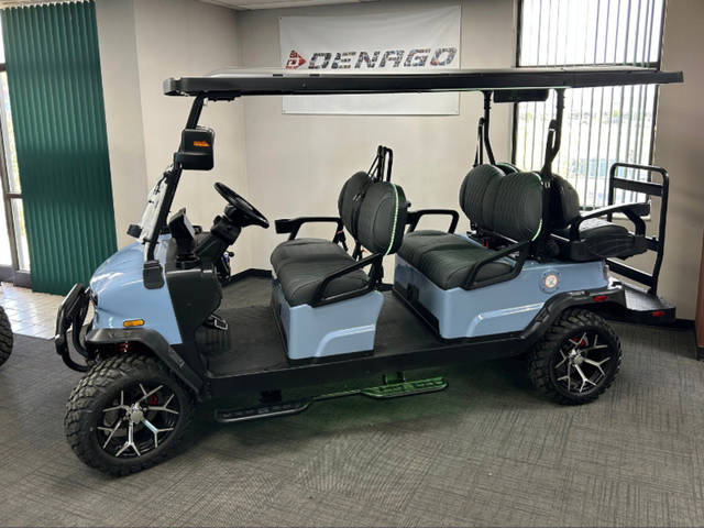 2027 Denago ROVER photo 2