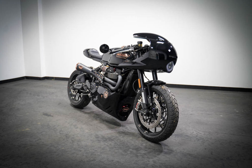 Used Triumph TAMARIT 2024