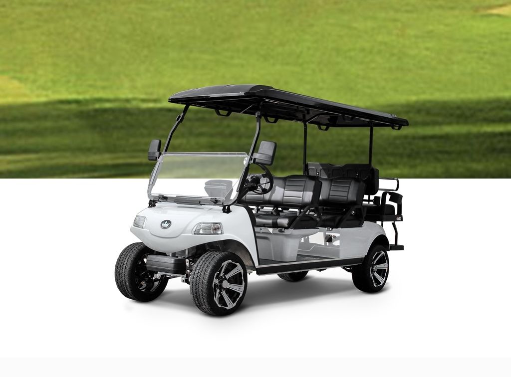 2023 Evolution Other | CartFinder
