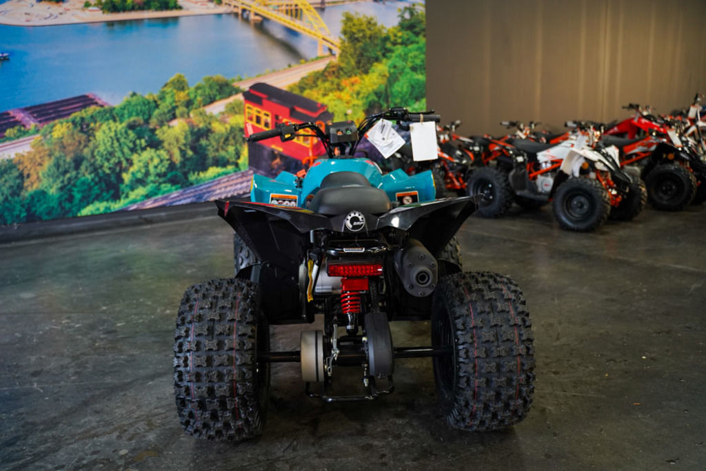 New Can-Am® Renegade 110 EFI 2026