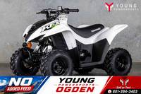 2026 Kawasaki KFX®50 | Young Powersports Pleasant View
