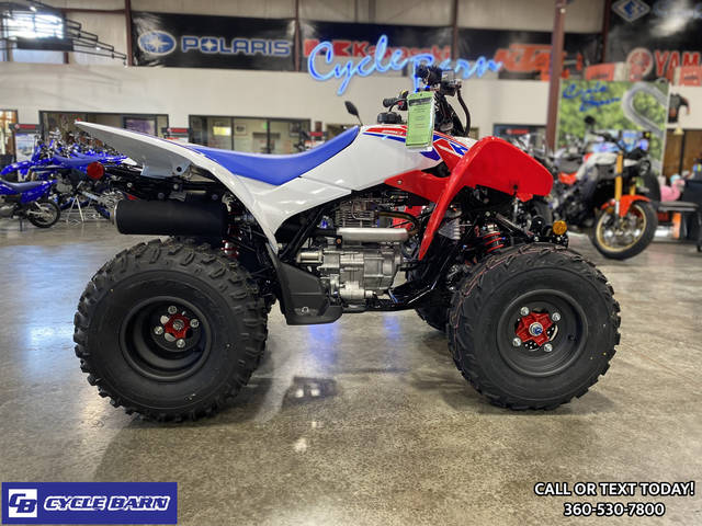 2026 Honda TRX250X