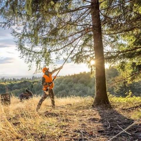 2026 Stihl Pole photo 2