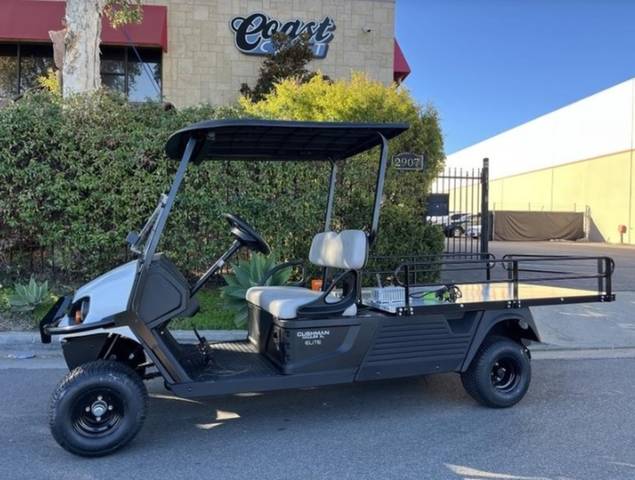2022 Gas Golf Cart