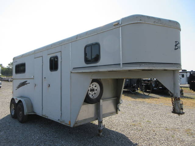 2003 Bison photo 2