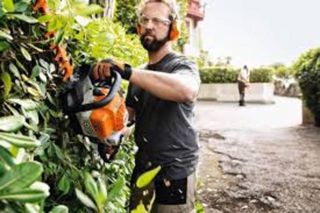 2026 Stihl Hedge photo 2