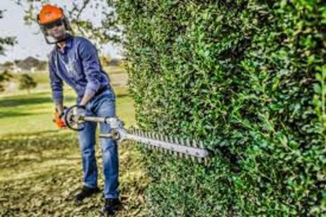 2026 Stihl Hedge photo 2