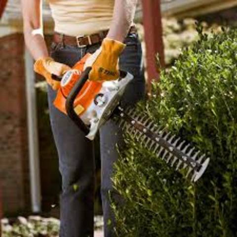 2026 Stihl Hedge photo 2