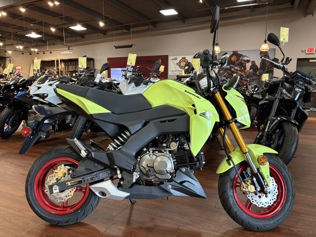 2026 Kawasaki Z125 PRO