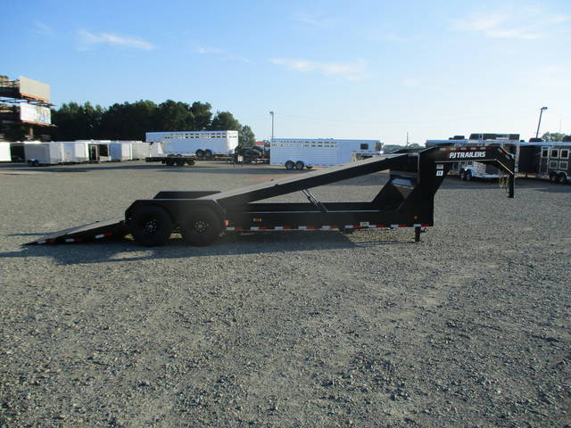 2025 PJ