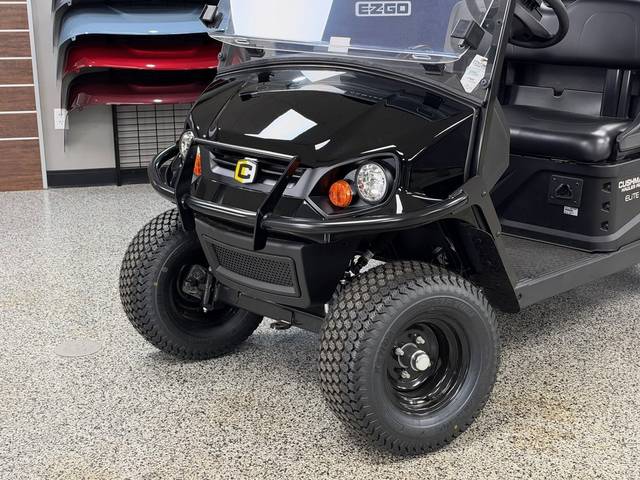 2026 Lithium Golf Cart photo 2