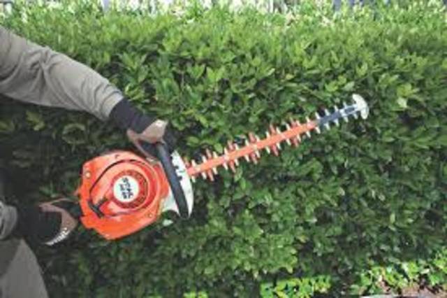 2026 Stihl Hedge photo 2