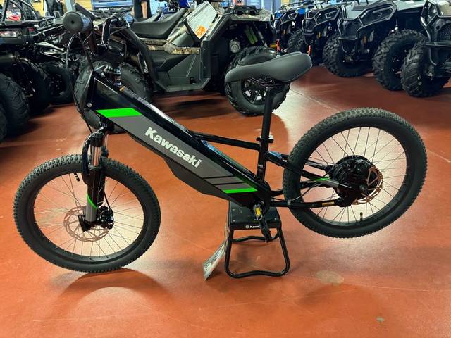 2025 Kawasaki Elektrode® 20FS