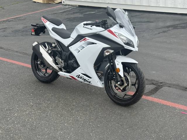 2026 Kawasaki EX300GTFNL