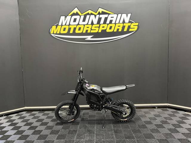 2026 E Ride Pro MINI