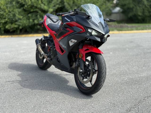2025 Kawasaki Ninja® 500 ABS Passion Red/Metallic Flat Spark Black