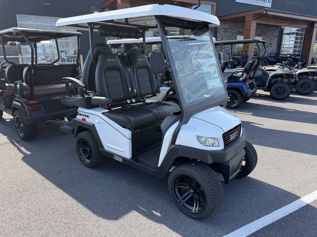 2027 Bintelli LSV4P photo 2