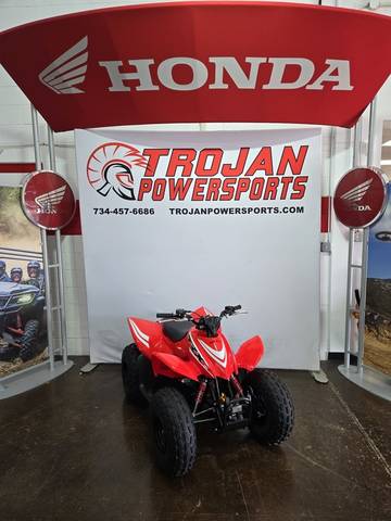 2025 Honda® TRX90X