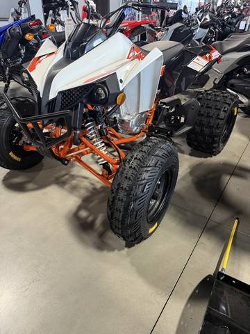 2026 Kayo Storm 300 EFI