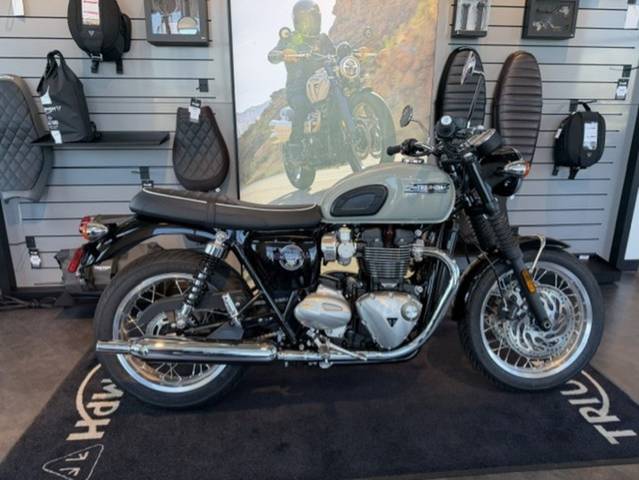 Triumph Inventory at Twigg Cycles