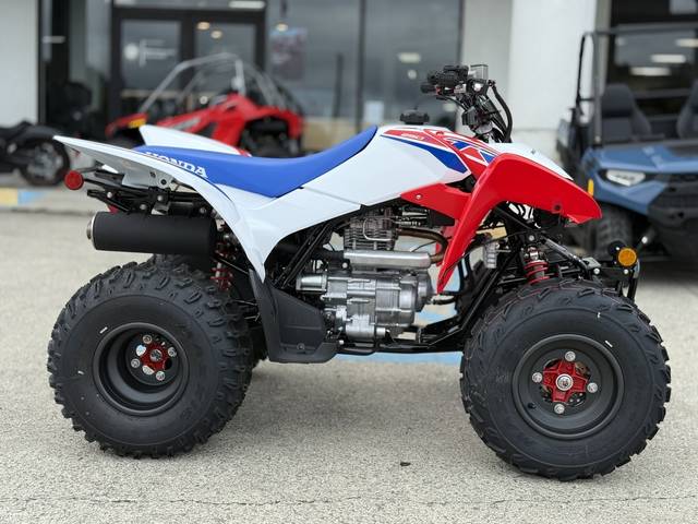 2026 Honda® TRX250X