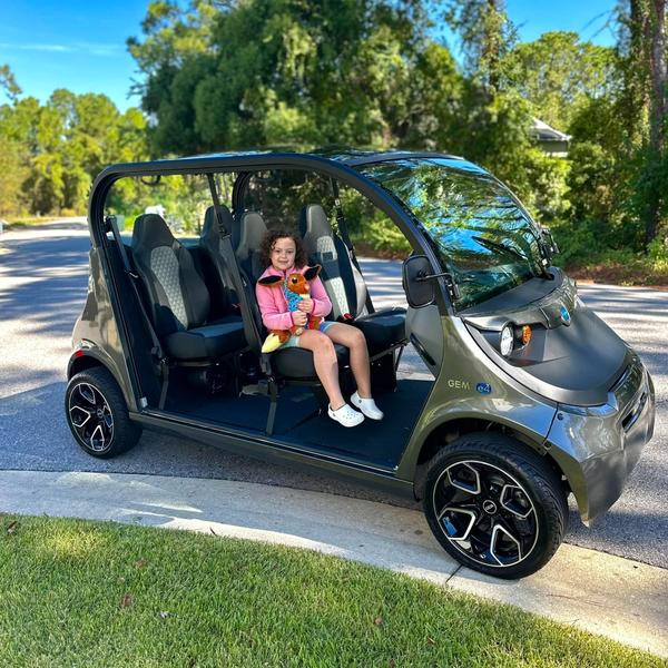 Luxury Golf Carts Worth the Upgrade in 2026 | Electric Cart Company ...