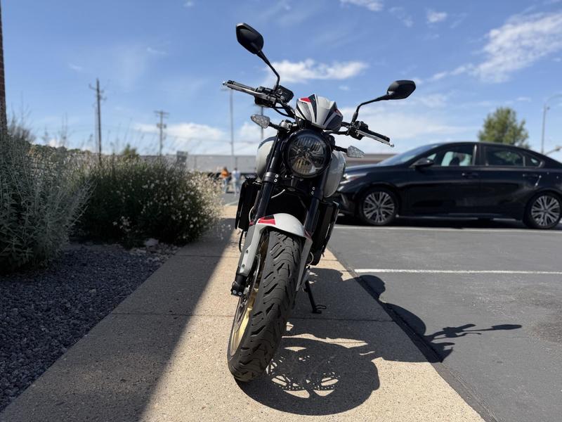 2026 Triumph Trident 800 Jet black | Young Powersports Missoula