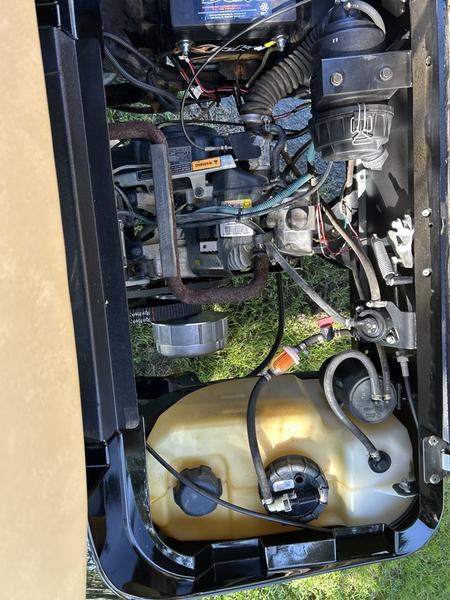 2016 EZGO Freedom photo 9