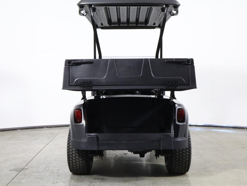 2021 EZGO RXV photo 7