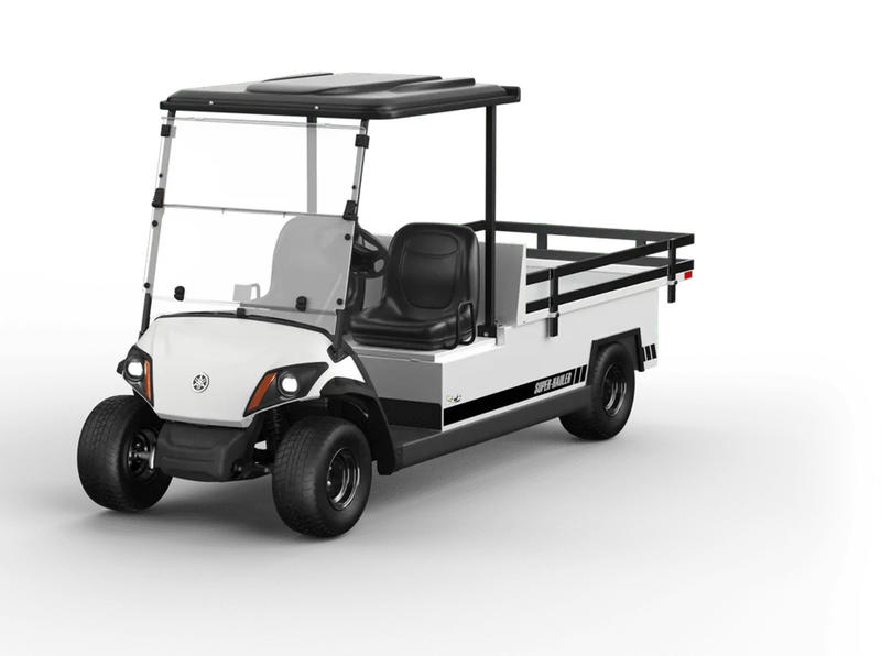 2026 Yamaha DR2