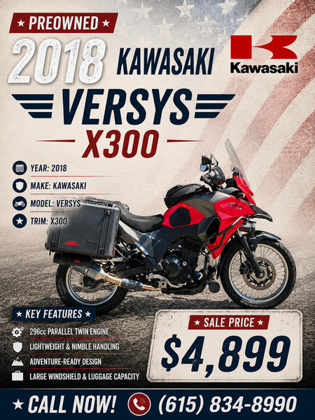 入手困難【THEONE限定版】BABYL LRESISTANCE Used 2018 Kawasaki Versys-X 300 ABS Motorcycle For Sale In