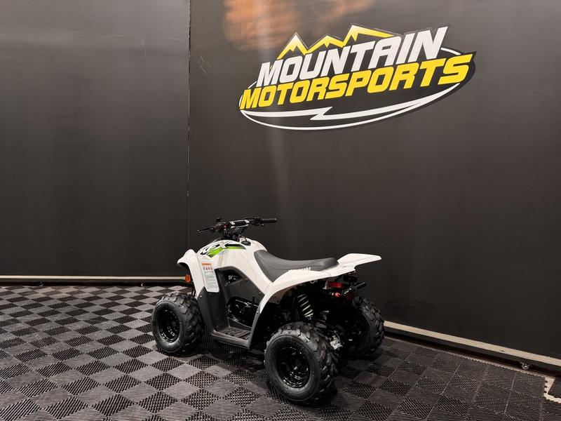 2026 Kawasaki KFX®50 | Mountain Motorsports