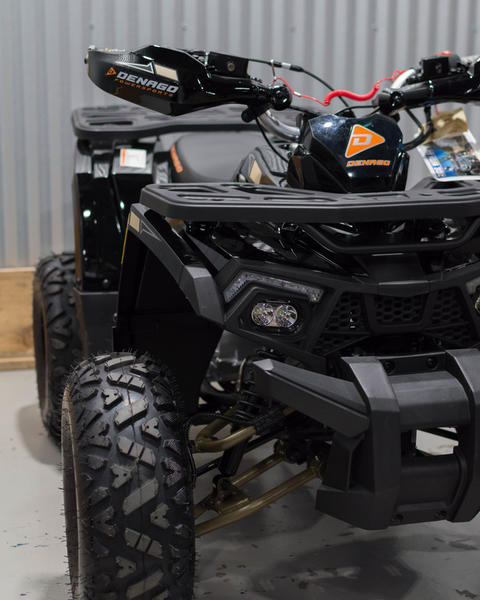 2026 Denago Powersports photo 9