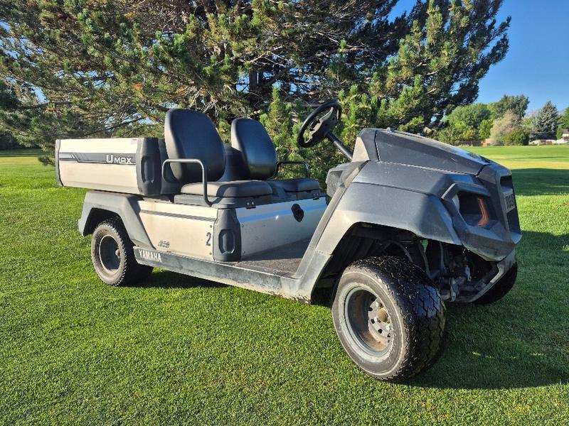 2022 Yamaha UMAX photo 3