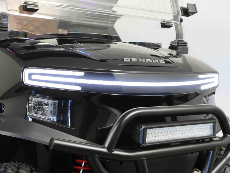 2026 Denago Rover photo 4