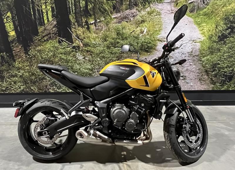 2026 Triumph Trident 660 Cosmic yellow | FFUN Motorsports Saskatoon
