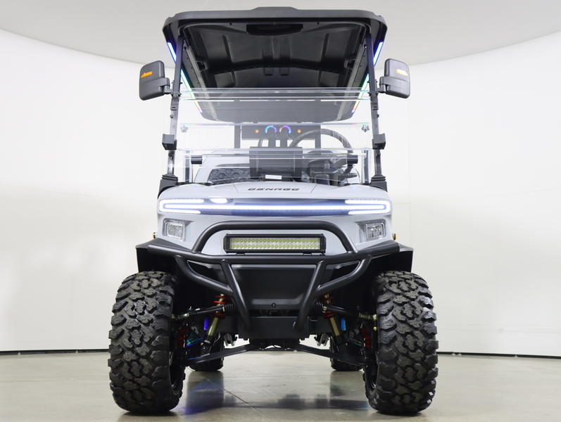 2026 Denago Rover photo 2