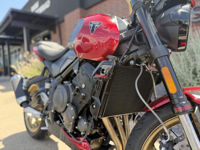 2026 Triumph Trident 800 Jet black | Young Powersports Missoula