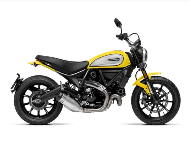 2023 Ducati Scrambler Icon 62 Yellow Limited Availability Motorcycles